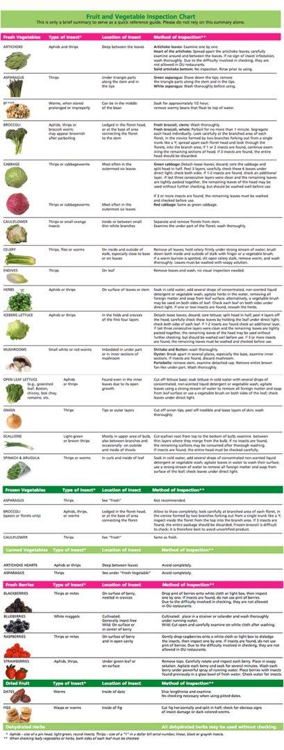 Kosher Food Cleaning Guidelines